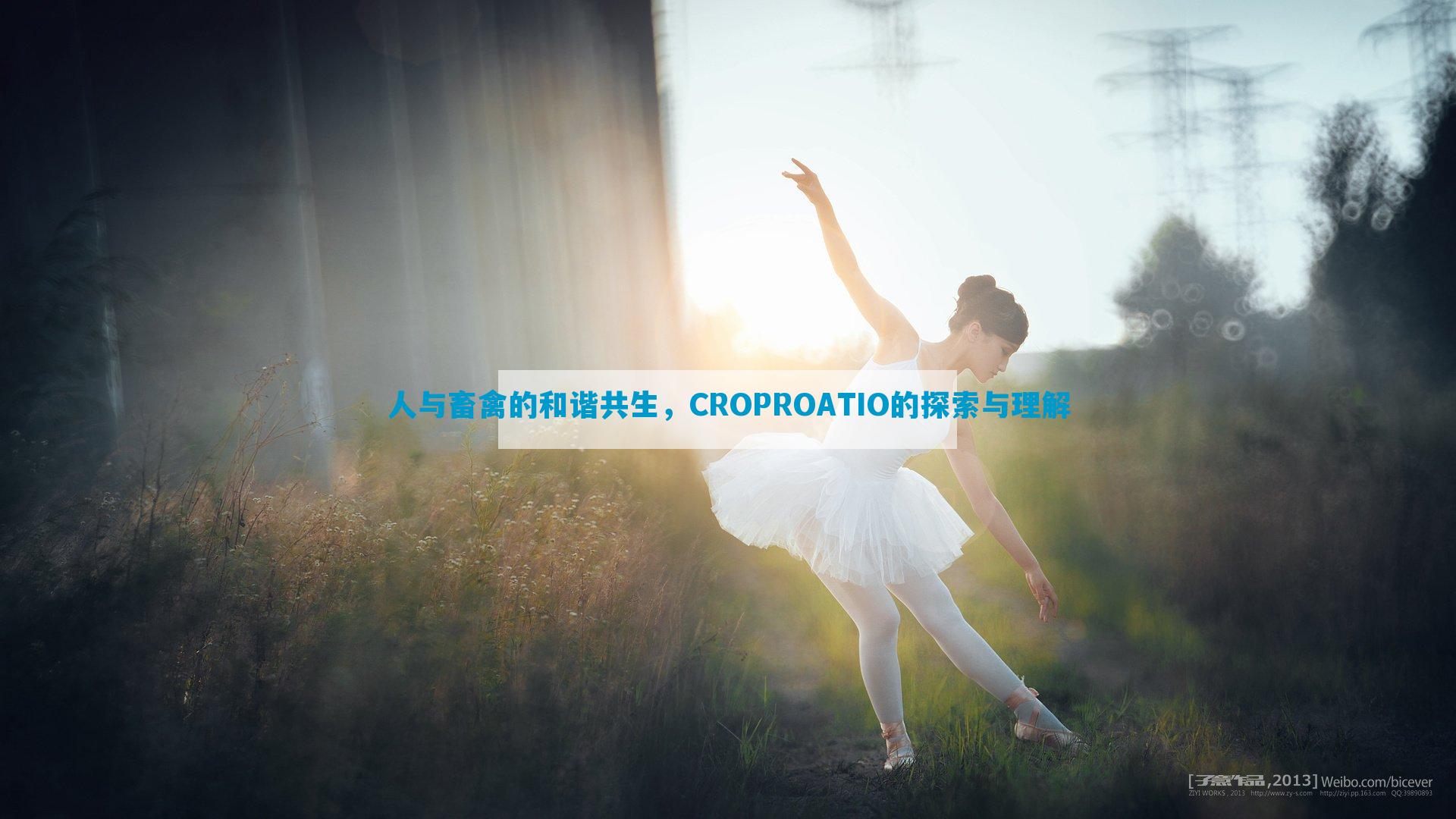 人与畜禽的和谐共生，CROPROATIO的探索与理解