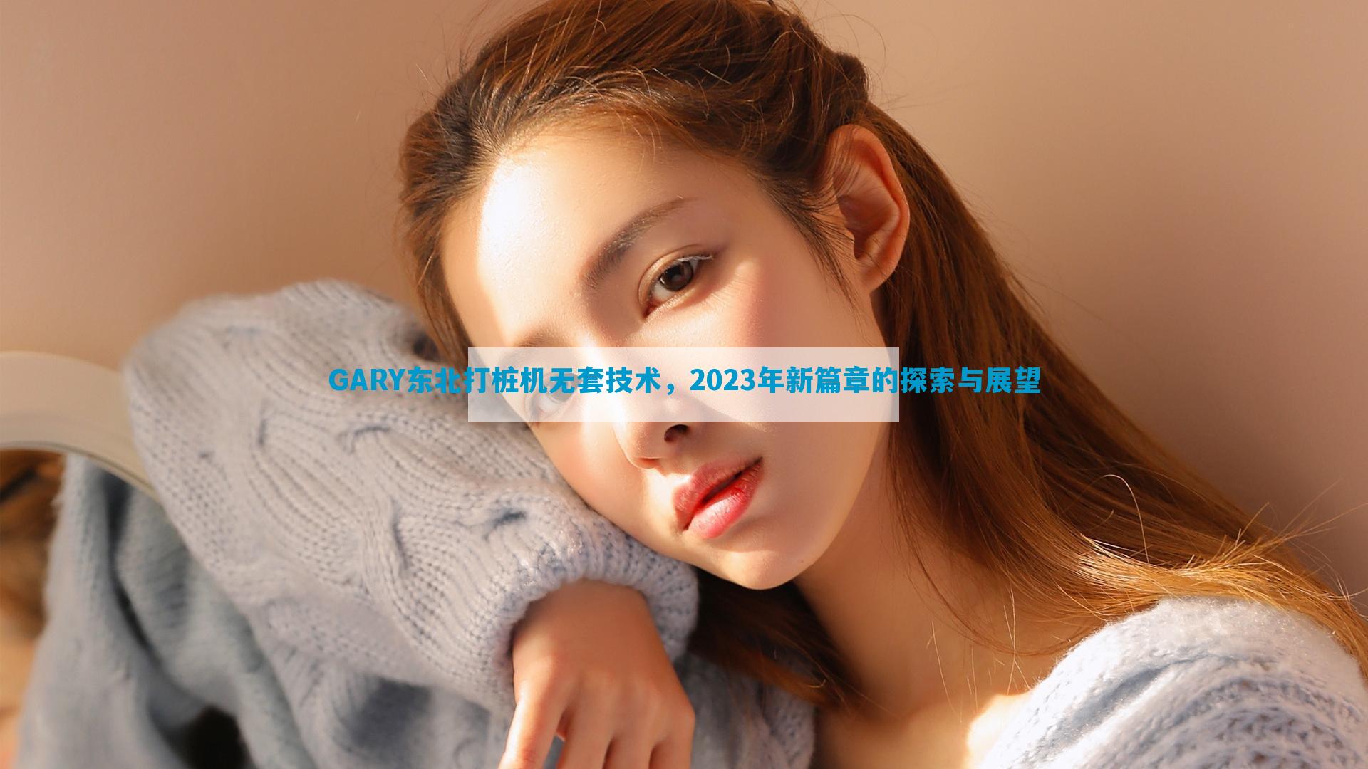 GARY东北打桩机无套技术，2023年新篇章的探索与展望