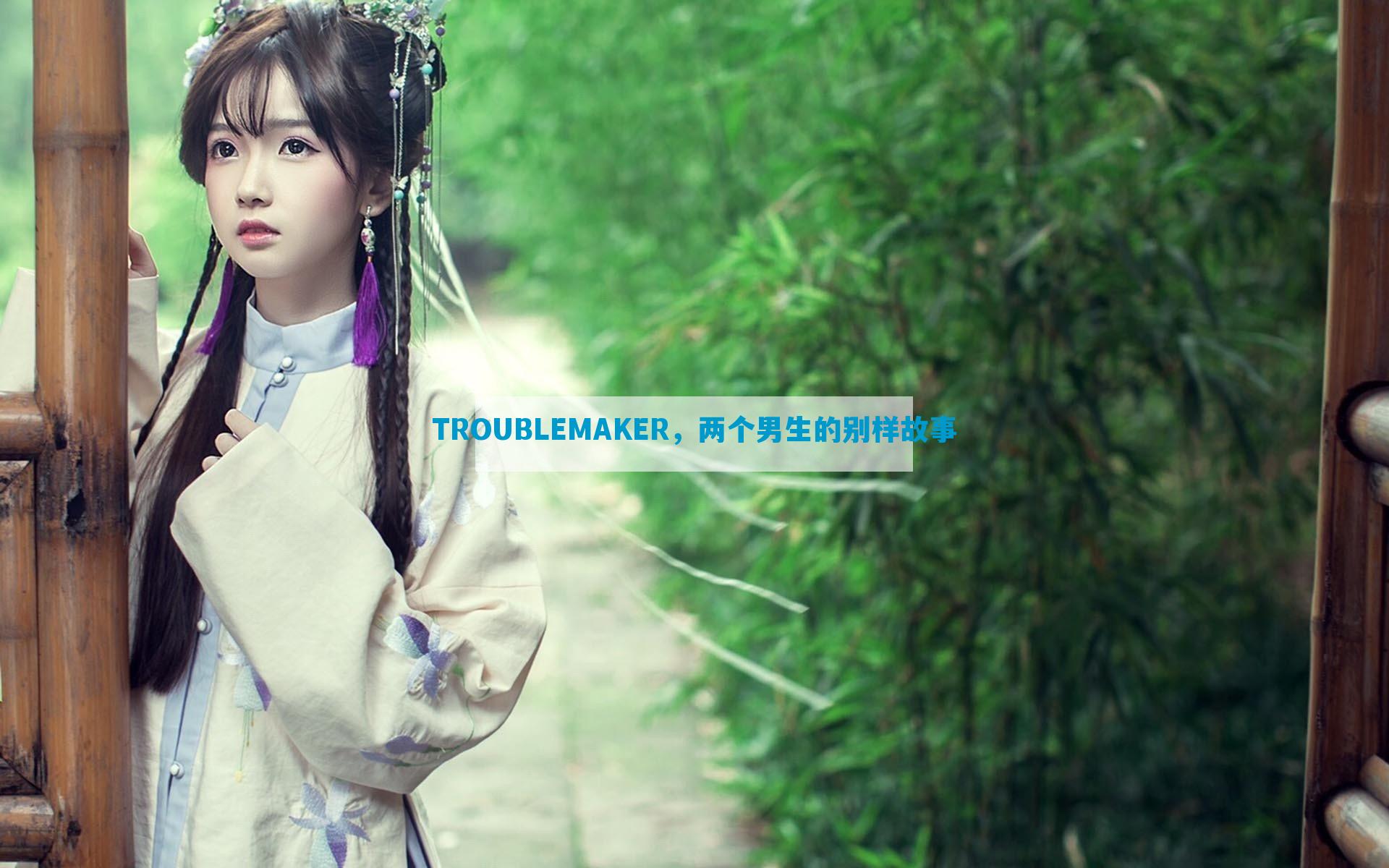 TROUBLEMAKER，两个男生的别样故事