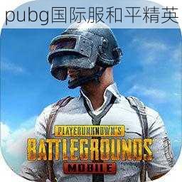 pubg国际服和平精英