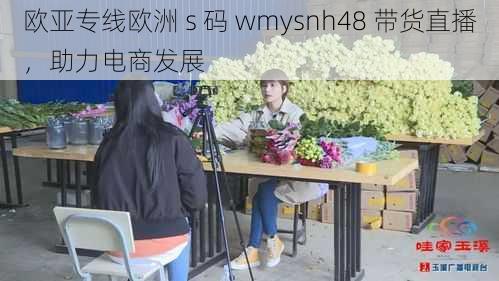 欧亚专线欧洲 s 码 wmysnh48 带货直播，助力电商发展